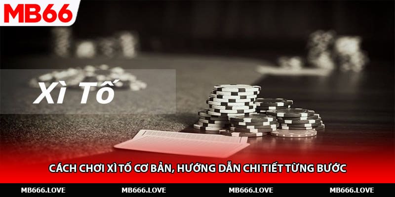 Cách Chơi Xì Tố Cơ Bản, Hướng Dẫn Chi Tiết Từng Bước