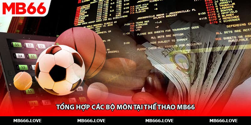 Tổng hợp các bộ môn tại thể thao MB66